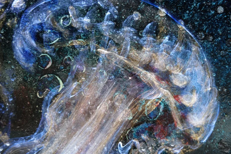 Quallen (nächtliches Atmen) - Ölfarbe, irisierende Acrylfarbe, Schellack, Graphitpuder, Pigmente, Walnuss-Sud auf Leinwand, 100 x 120 cm, 2024