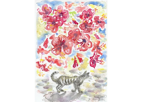 Alonnisos - Greek Cat with Magic red Hibiscus