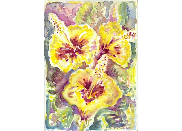 Alonnisos Magic Greek Hibiscus