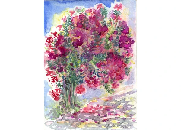 Alonnisos Magic Greek Oleander