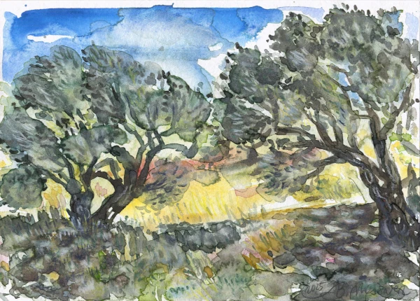 Alonnisos - Magic Greek Olive Trees