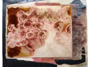 HALLIMASCHFAMILIE Zeichnung mit Aquarellstift, Hallimasch-Pilzsud, Schellack, collagiert mit Graphitfolienstücken auf präpariertem Papier, 27 x 32 cm, 2017