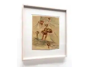 FRUCHT-KÖRPER-KOLONIE (Hallimasch_Grafenberger Wald) 48 x 44 cm_Handgefertigter Modellrahmen mit Glas Zeichnung mit Aquarellstift, Schellack auf präpariertem Papier, 31 x 27 cm_2017