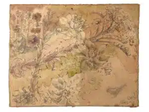 SEMPERVIVUM - Zeichnung mit Graphitstift und Aquarell auf präpariertem Papier, 15 x 19 cm, 2020