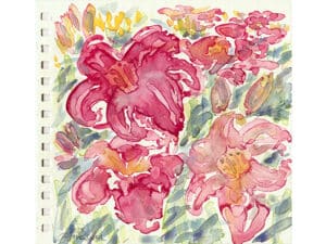 LILIEN IM VOLKSGARTEN - Original-Aquarell auf Aquarellpapier, 19 x 20 cm, Volksgarten Düsseldorf, Juli 2025. Die Unikate sind auf der Rückseite datiert und signiert (ungerahmt / plus Verpackung und Versand mit Sendungsnummer, Inland pauschal 10 Euro). Dieses Werk ist auch als Kunstdruck zu erwerben.