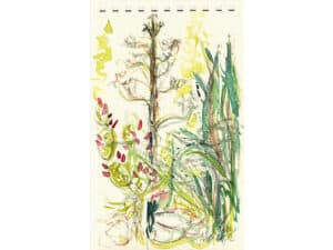 AGAVENBLÜTE (EINMALIGES ERBLÜHEN) Aquarell auf Aquarellpapier_15 x 24 cm, Toscana 2022 Die Unikate sind auf der Rückseite datiert und signiert.