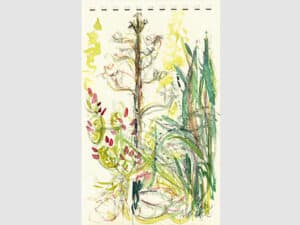 AGAVENBLÜTE (EINMALIGES ERBLÜHEN) - Aquarell auf Aquarellpapier 15 x 24 cm, Toscana 2022. Die Unikate sind auf der Rückseite datiert und signiert.