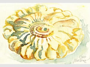 KÜRBIS (DAS WELTALL) - Aquarell auf Aquarellpapier 15 x 24 cm, Toscana 2022 Die Unikate sind auf der Rückseite datiert und signiert.