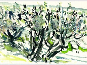 OLIVENHAIN - Aquarell auf Aquarellpapier 15 x 24 cm, Toscana 2022 Die Unikate sind auf der Rückseite datiert und signiert.