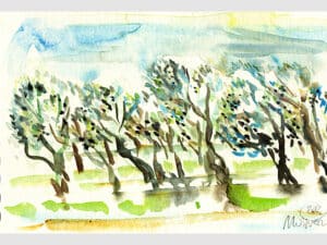 OLIVENHAIN IN DER TOSCANA - Aquarell auf Aquarellpapier_15 x 24 cm, Toscana 2022 Die Unikate sind auf der Rückseite datiert und signiert.