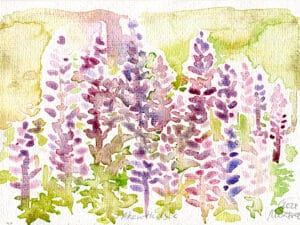 AKANTHUS-STAUDEN IM SÜDPARK-Original-Aquarell auf Aquarellpapier, 17 x 24 cm, Volksgarten Düsseldorf, 2024. Die Unikate sind auf der Rückseite datiert und signiert.