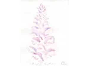 STACHELIGER AKANTHUS_Original-Aquarell auf Aquarellpapier, 24 x 17 cm, Volksgarten Düsseldorf, 2024. Die Unikate sind auf der Rückseite datiert und signiert (ungerahmt / plus Verpackung und Versand mit Sendungsnummer, Inland pauschal 10 Euro).