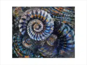 AUS DEM DUNKLEN I (AMMONITEN) - Hochwertiger Kunstdruck in unterschiedlichen Größen mit limitierter Auflage von 6 Stück
