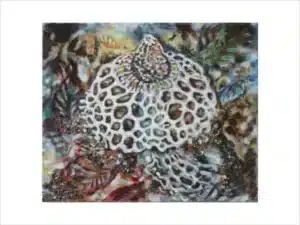 MORCHEL - Hochwertiger Kunstdruck in unterschiedlichen Größen mit limitierter Auflage von 6 Stück