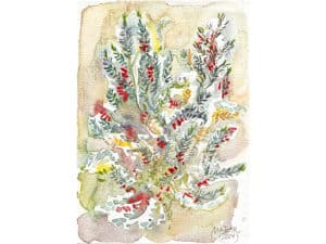 MEDITERRANER STRAUCH (Botanischer Garten Düsseldorf) - Original-Aquarell auf Aquarellpapier, 17 x 24 cm, Mai 2024