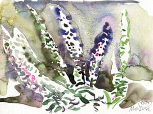 STAUDEN IM BOTANISCHEN GARTEN - Original-Aquarell auf Aquarellpapier, 17 x 24 cm, Botanischer Garten Düsseldorf, Mai 2024. Die Unikate sind auf der Rückseite datiert und signiert (ungerahmt / plus Verpackung und Versand mit Sendungsnummer, Inland pauschal 10 Euro). Dieses Werk ist auch als Kunstdruck zu erwerben.