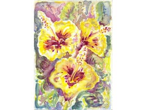 ALONNISOS – MAGIC GREEK HIBISCUS aus der Serie „Magic Alonnisos“ - Original-Aquarell auf Aquarellpapier, 17 x 24 cm, Alonnisos, Griechenland Juni 2025