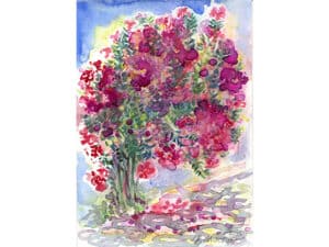 ALONNISOS – MAGIC GREEK OLEANDER aus der Serie „Magic Alonnisos“ Original-Aquarell auf Aquarellpapier, 17 x 24 cm, Alonnisos, Griechenland Juni 2025