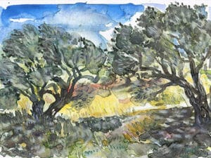 ALONNISOS – MAGIC GREEK OLIVE TREES aus der Serie „Magic Alonnisos“ Original-Aquarell auf Aquarellpapier, 17 x 24 cm, Alonnisos, Griechenland Juni 2025