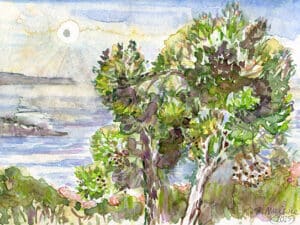 ALONNISOS – MAGIC PINE TREES aus der Serie „Magic Alonnisos“ Original-Aquarell auf Aquarellpapier, 17 x 24 cm, Alonnisos, Griechenland Juni 2025
