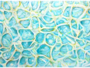 Aus der 6er-Serie COSMIC SWIMMER – WASSERREFLEXIONEN (TÜRKIS) - Original-Ölbild 80 x 120 x 4,5 cm, 2023, Ölfarbe, irisierende Ölkreide, Glimmer auf Leinwand