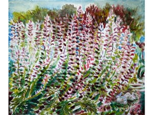 AKANTHUSSTAUDEN- Original-Ölbild 50 x 60 cm, 2024, Ölfarbe auf Leinwand