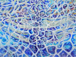 SCHWIMMERIN (BLAU_GOLD) - Original-Ölbild 80 x 120 x 4,5 cm, 2024, Ölfarbe, irisierende Acrylfarbe, Schellack auf Leinwand
