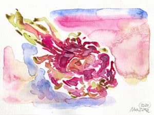 DRACHENFRUCHT 1 - Original-Aquarell auf Aquarellpapier, 17 x 24 cm, 2024