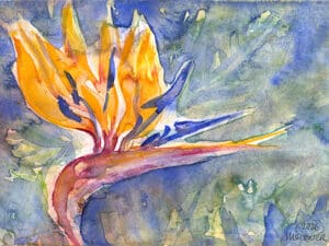 STRELITZIEN 03 (BOTANISCHER GARTEN DÜSSELDORF) - Original-Aquarell auf Aquarellpapier, 17 x 24 cm, 2026