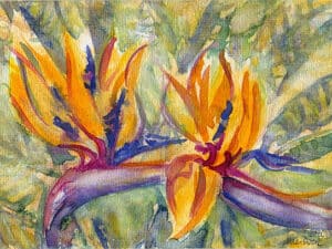 STRELITZIEN 04 (BOTANISCHER GARTEN DÜSSELDORF) - Original-Aquarell auf Aquarellpapier, 17 x 24 cm, 2026