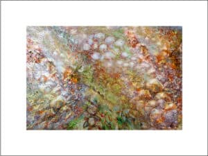 PILZTEPPICH - Hochwertige Kunstdrucke – eine wunderbare Alternative zum Original! Gedruckt auf archivfestem Büttenpapier oder Leinwand mit pigmentierten Tinten. Erhätlich in den Größen 18 x 24 cm, 30 x 40 cm, 50 x 60 cm oder in einer Größe/Ausschnitt deiner Wahl, rückseitig handsigniert und datiert, mit Künstlerstempel – in einer limitierten Auflage von sechs Exemplaren.