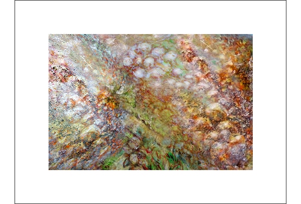 PILZTEPPICH - Hochwertige Kunstdrucke – eine wunderbare Alternative zum Original! Gedruckt auf archivfestem Büttenpapier oder Leinwand mit pigmentierten Tinten. Erhätlich in den Größen 18 x 24 cm, 30 x 40 cm, 50 x 60 cm oder in einer Größe/Ausschnitt deiner Wahl, rückseitig handsigniert und datiert, mit Künstlerstempel – in einer limitierten Auflage von sechs Exemplaren.