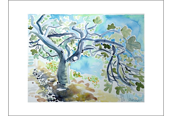 FEIGENBAUM - Hochwertige Kunstdrucke – eine wunderbare Alternative zum Original! Gedruckt auf archivfestem Büttenpapier oder Leinwand mit pigmentierten Tinten. Erhätlich in den Größen 18 x 24 cm, 30 x 40 cm, 50 x 60 cm oder in einer Größe/Ausschnitt deiner Wahl, rückseitig handsigniert und datiert, mit Künstlerstempel – in einer limitierten Auflage von sechs Exemplaren.