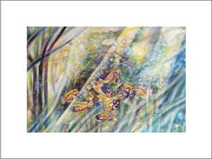 TROPHEUS-FISCHE - Hochwertige Kunstdrucke – eine wunderbare Alternative zum Original! Gedruckt auf archivfestem Büttenpapier oder Leinwand mit pigmentierten Tinten. Erhältlich in den Größen 18 x 24 cm, 30 x 40 cm, 50 x 60 cm oder in einer Größe/Ausschnitt deiner Wahl, rückseitig handsigniert und datiert, mit Künstlerstempel – in einer limitierten Auflage von sechs Exemplaren.