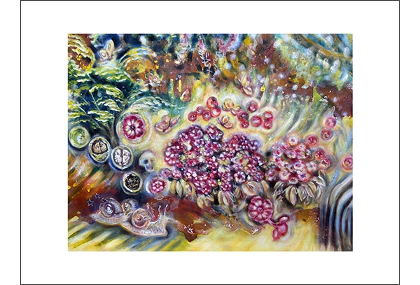 SCHNECKEN + SCHMETTERLINGE - Hochwertige Kunstdrucke – eine wunderbare Alternative zum Original! Gedruckt auf archivfestem Büttenpapier oder Leinwand mit pigmentierten Tinten. Erhältlich in den Größen 18 x 24 cm, 30 x 40 cm, 50 x 60 cm oder in einer Größe/Ausschnitt deiner Wahl, rückseitig handsigniert und datiert, mit Künstlerstempel – in einer limitierten Auflage von sechs Exemplaren.